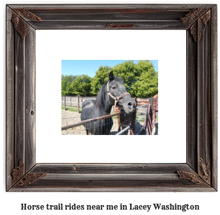 horse trail rides near me in Lacey, Washington